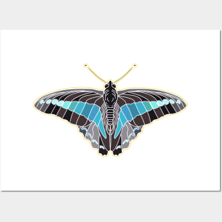 colorful natural butterfly Posters and Art